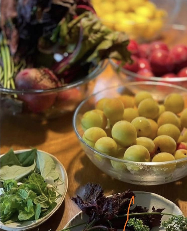 12/17(水)季節の手仕事《酵素ジュース作り》名古屋